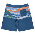 Santa Cruz Water View boardshorts